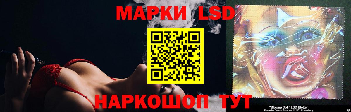 LSD-25 экстази кислота  ЛСД экстази ecstasy  Лесной  Вход с VPN 